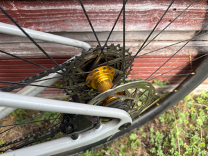 Canyon Endurace CF 7 2022