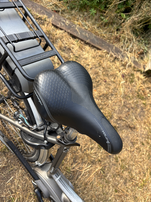 Raleigh Captus Mid-Step 2025