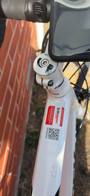 Trek 2.1 2022