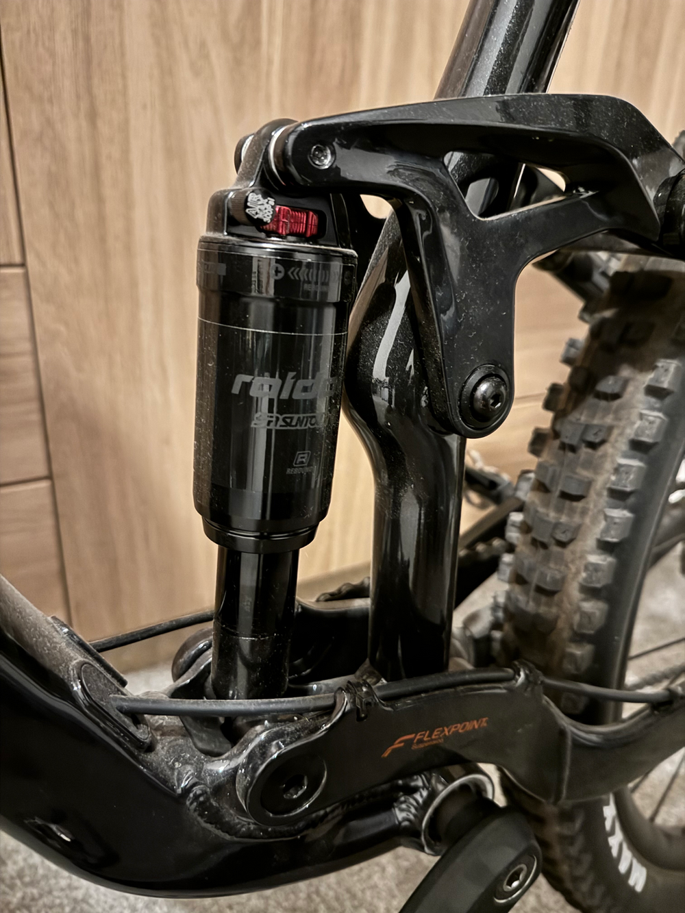 Giant Stance 29 1 2024