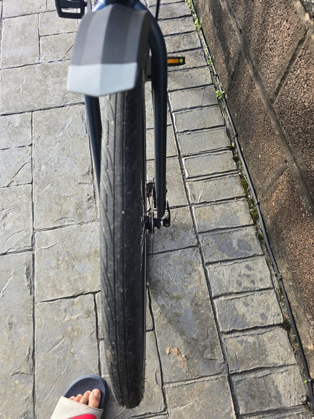 Carrera impel im 2022