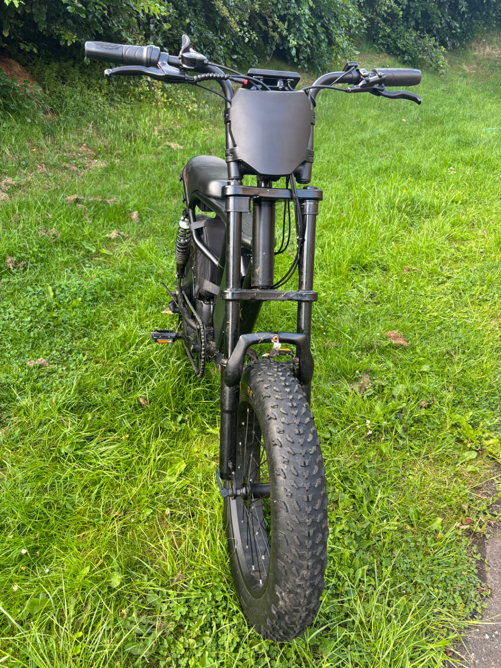 Custom Fat bike 2025