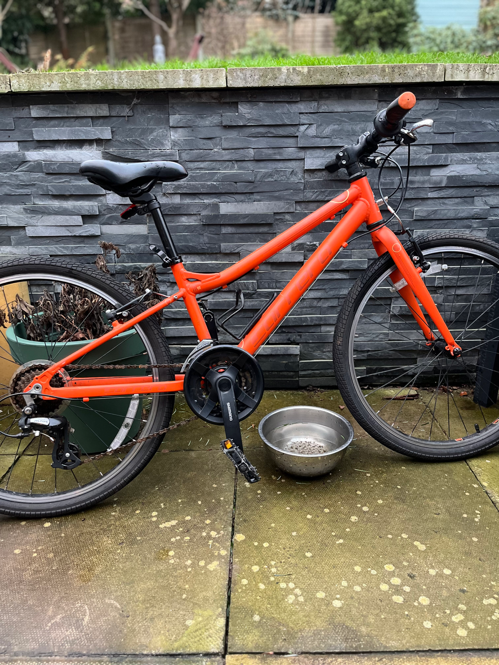 Carrera Abyss Junior Hybrid Bike 2021