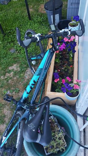 Giant Thrive 2 2015