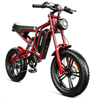 Hidoes B6 Electric Fat Bike