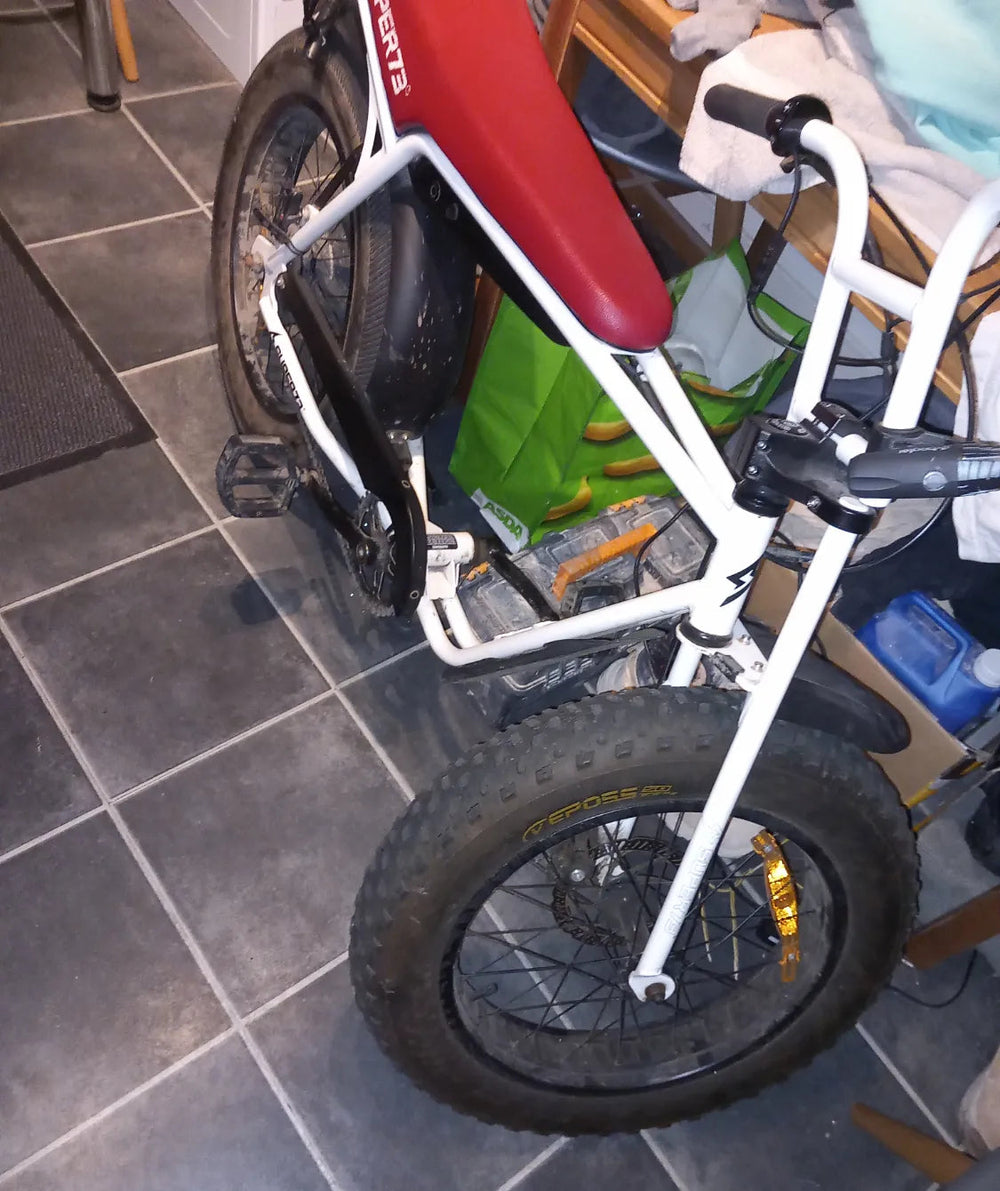 Super 73 Zg 2016