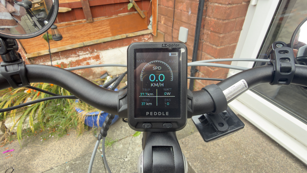 Peddle Step 2025