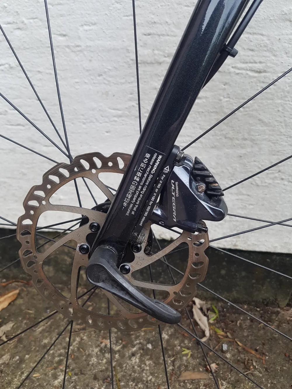 Liv Langma Advanced 1+ Disc 2021