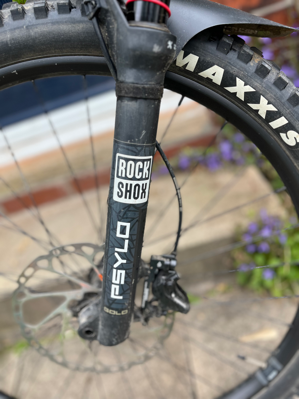 Whyte Kado S 2025