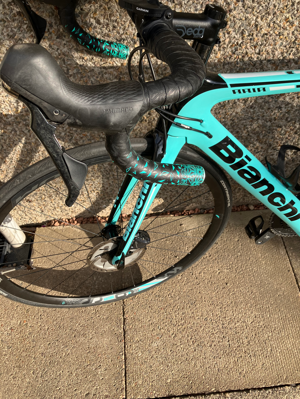 Bianchi Aria