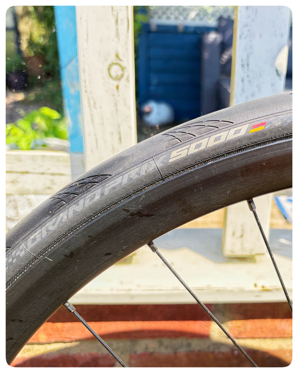 Felt AR5 Carbon 2022