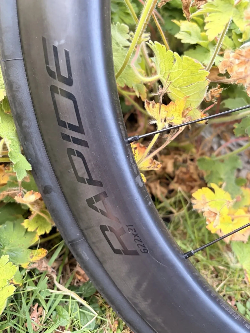Specialized Tarmac Pro 2024