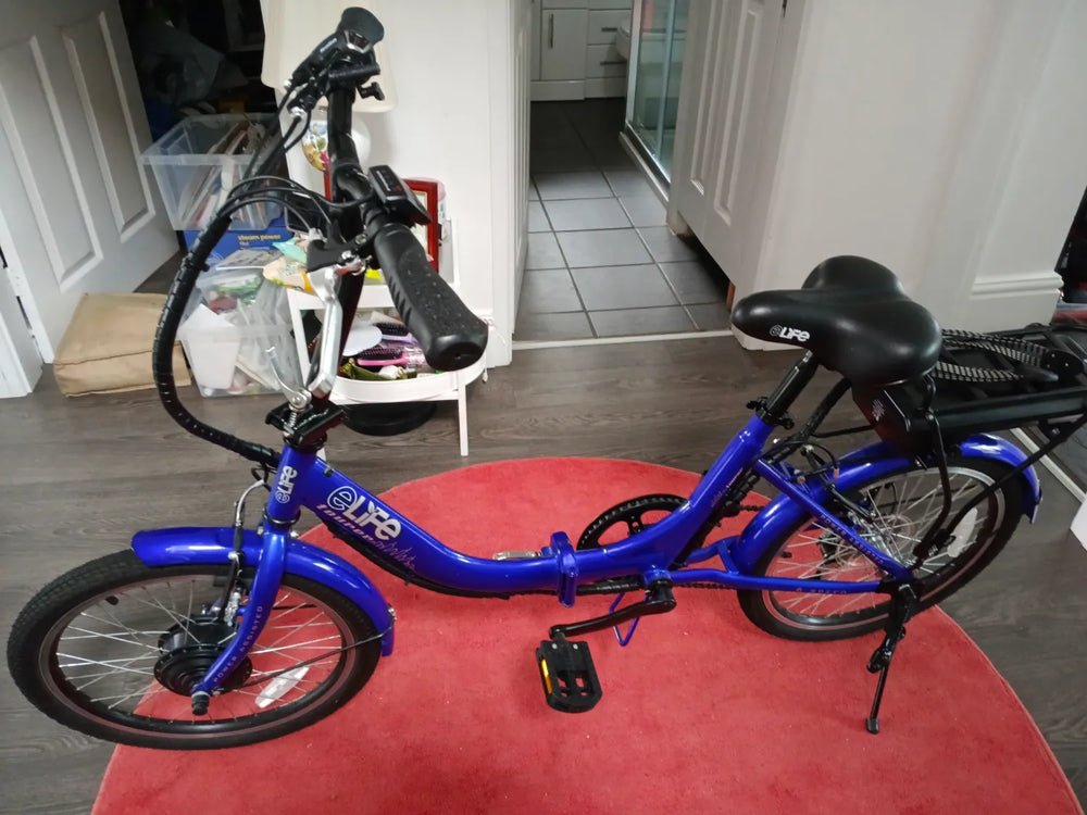 E Go E-Life Regency 2022