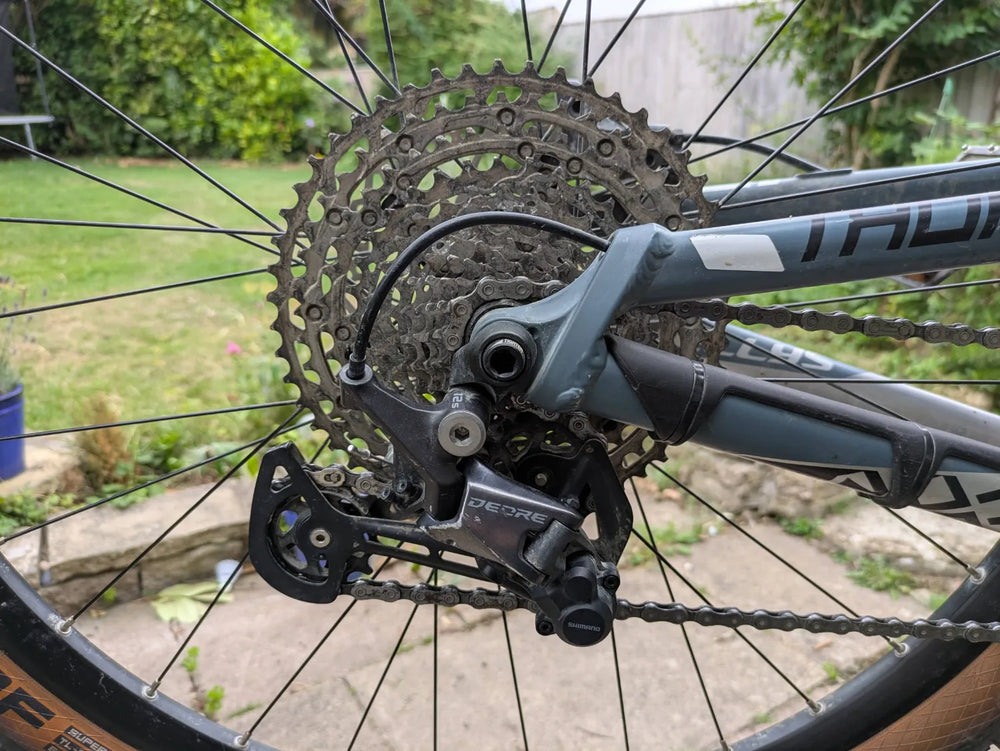 Kellys Thorx 10 2021