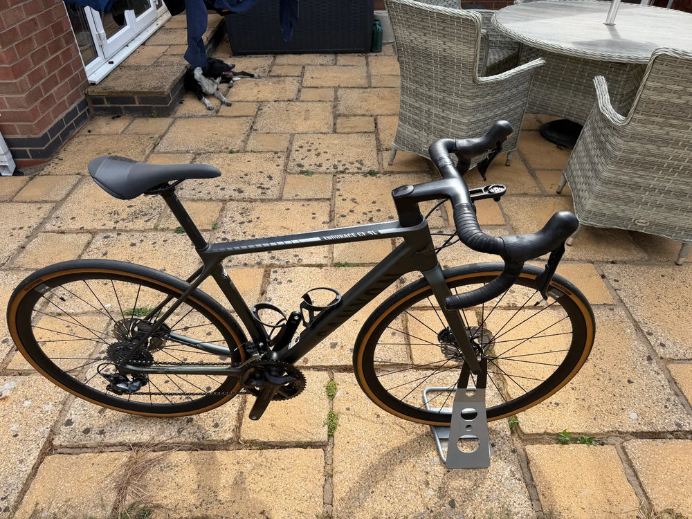 Canyon Endurace CF SL 8 Disc 2018