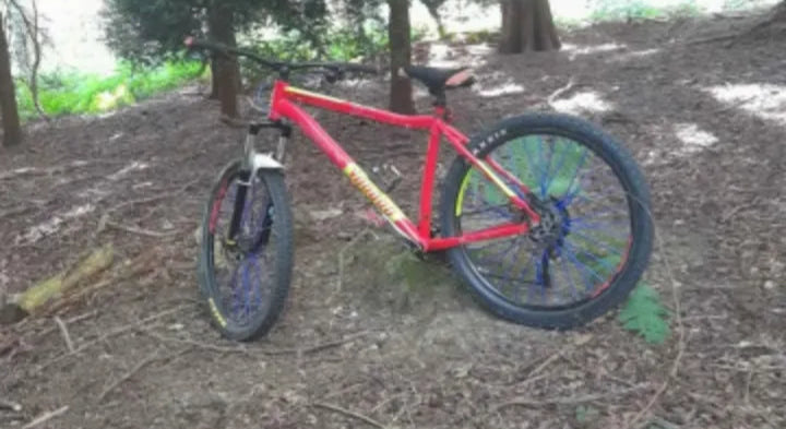 Voodoo Hoodoo Mens Mountain Bike 2021 2018