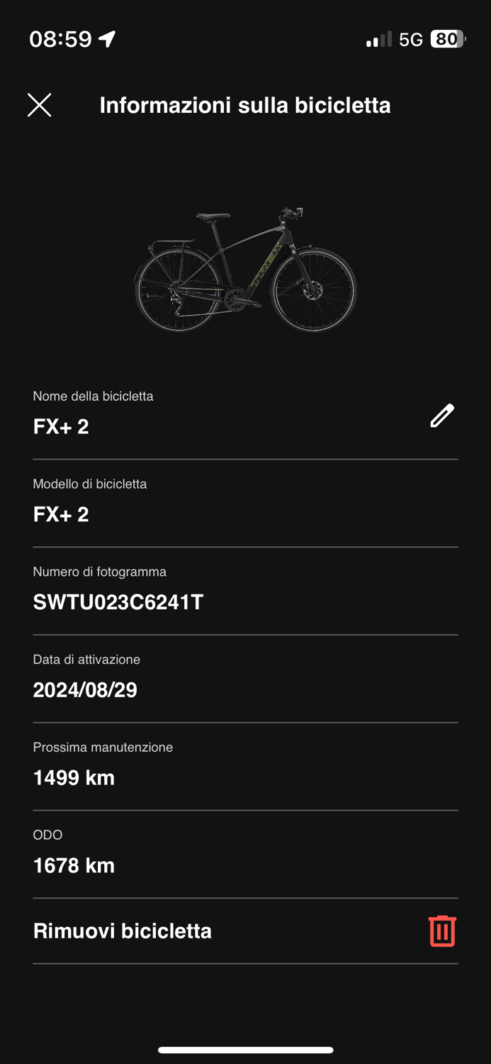 Trek FX+ 2 LT 2024