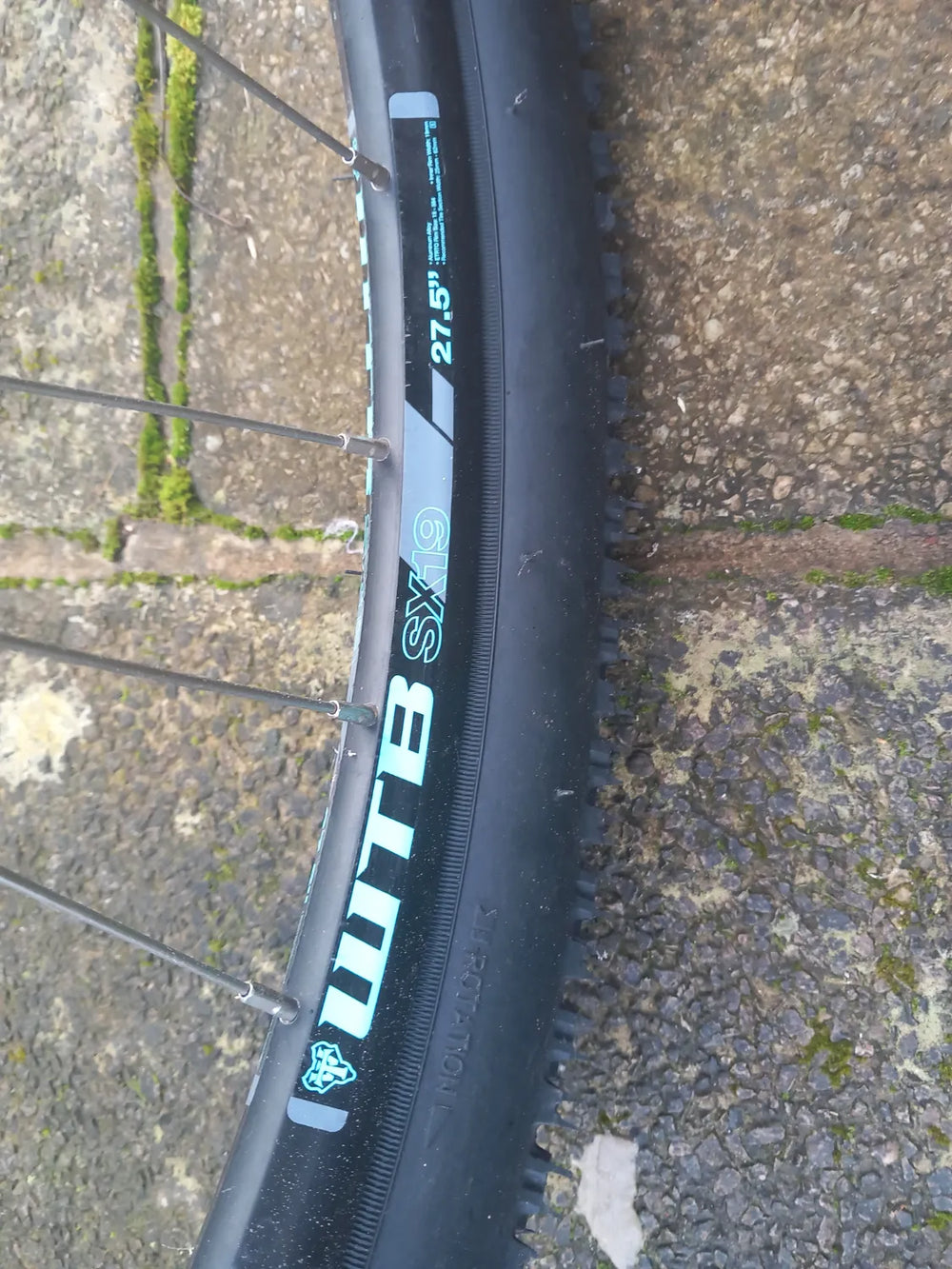 GT Aggressor Expert 2019