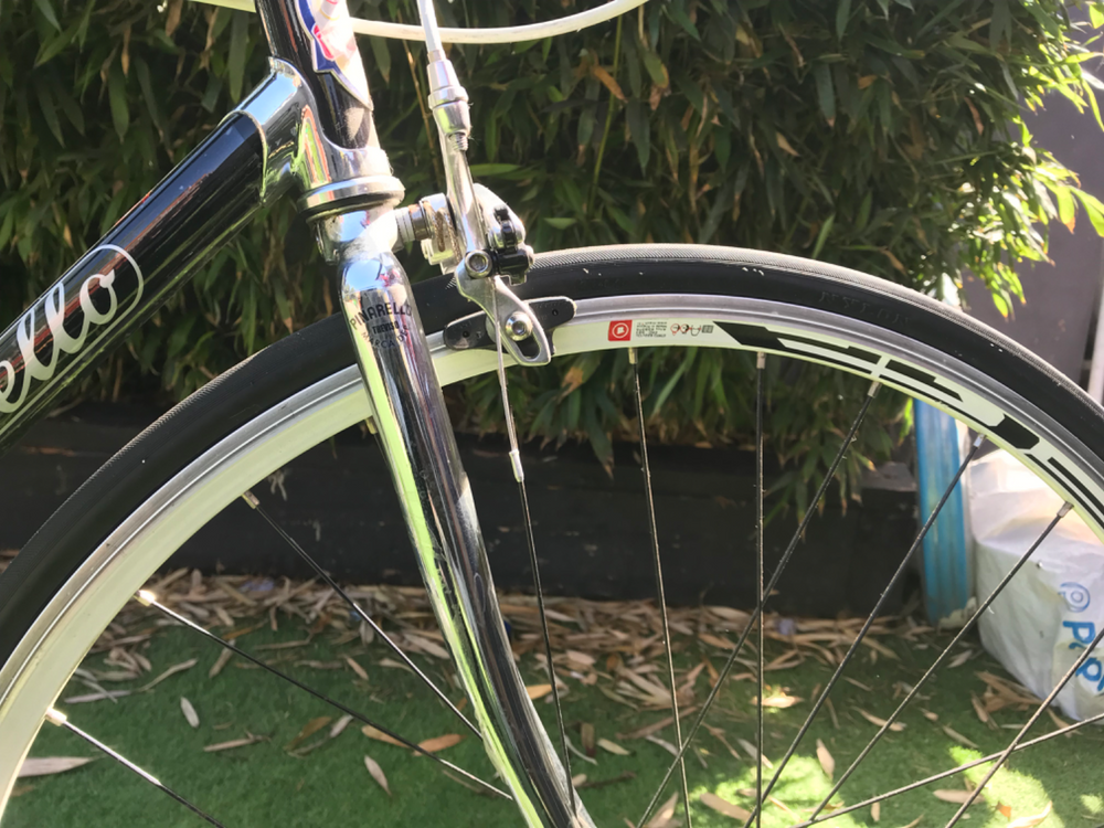 Pinarello Catena 2015