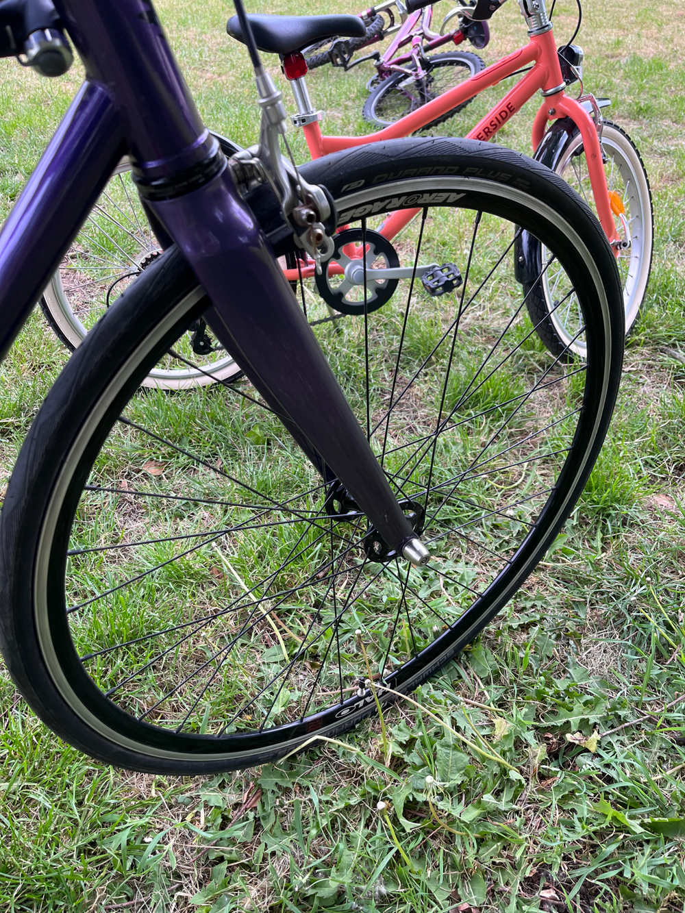 Brother Swift custom 2019