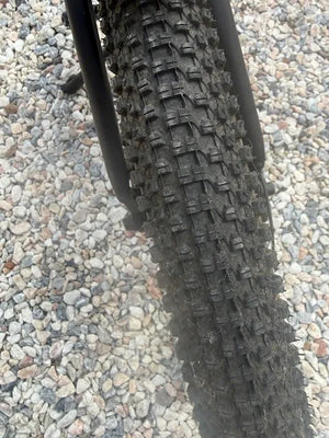 Roodog Tourer 2021