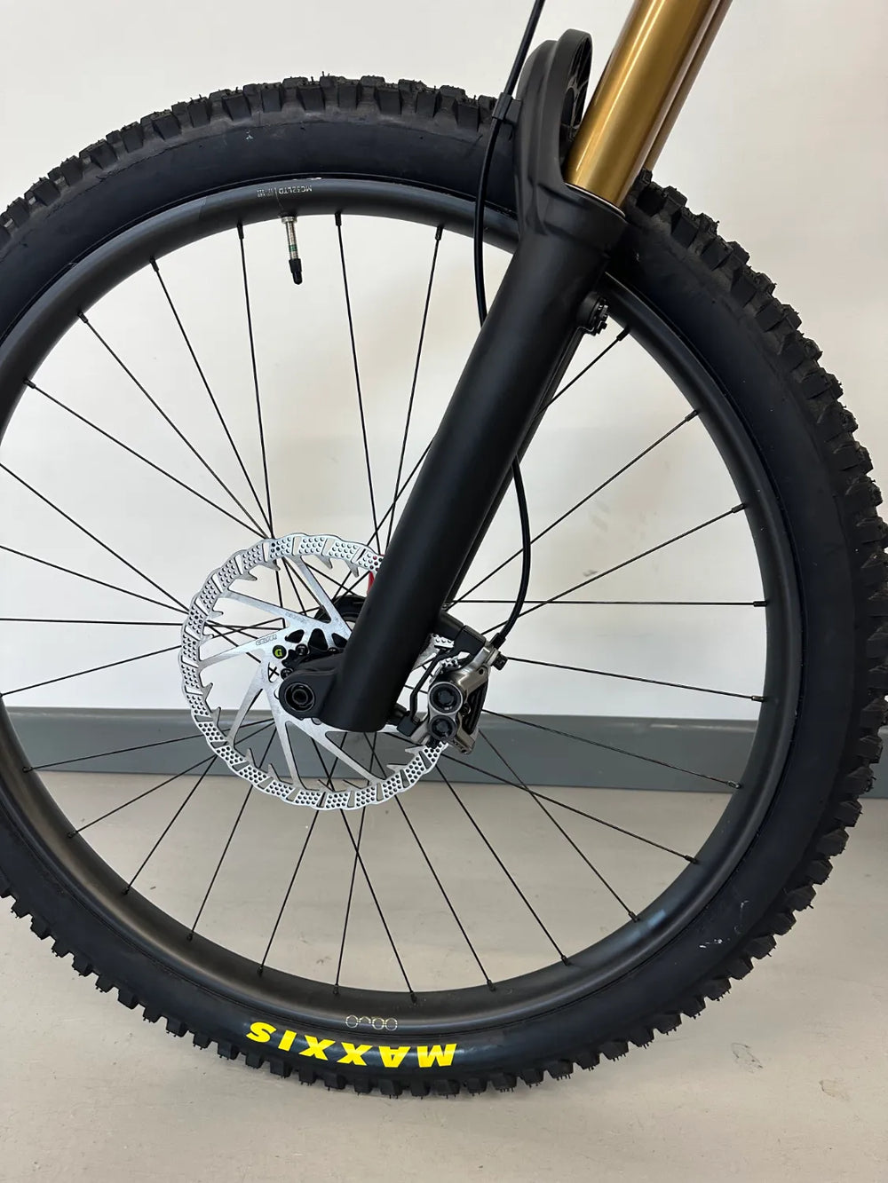 Orbea Wild M-ltd 2025