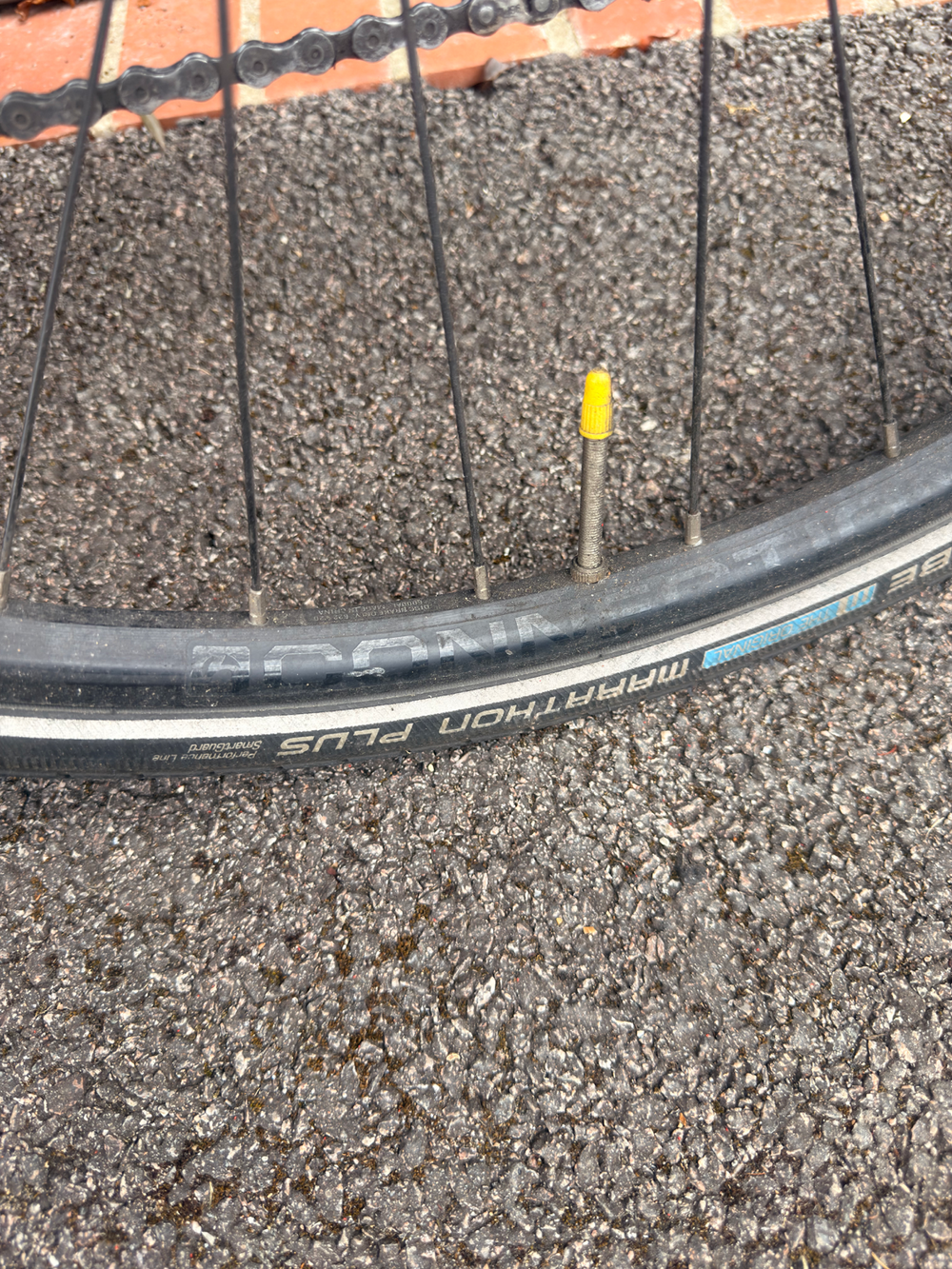 Specialized Diverge 4 Sport 2026