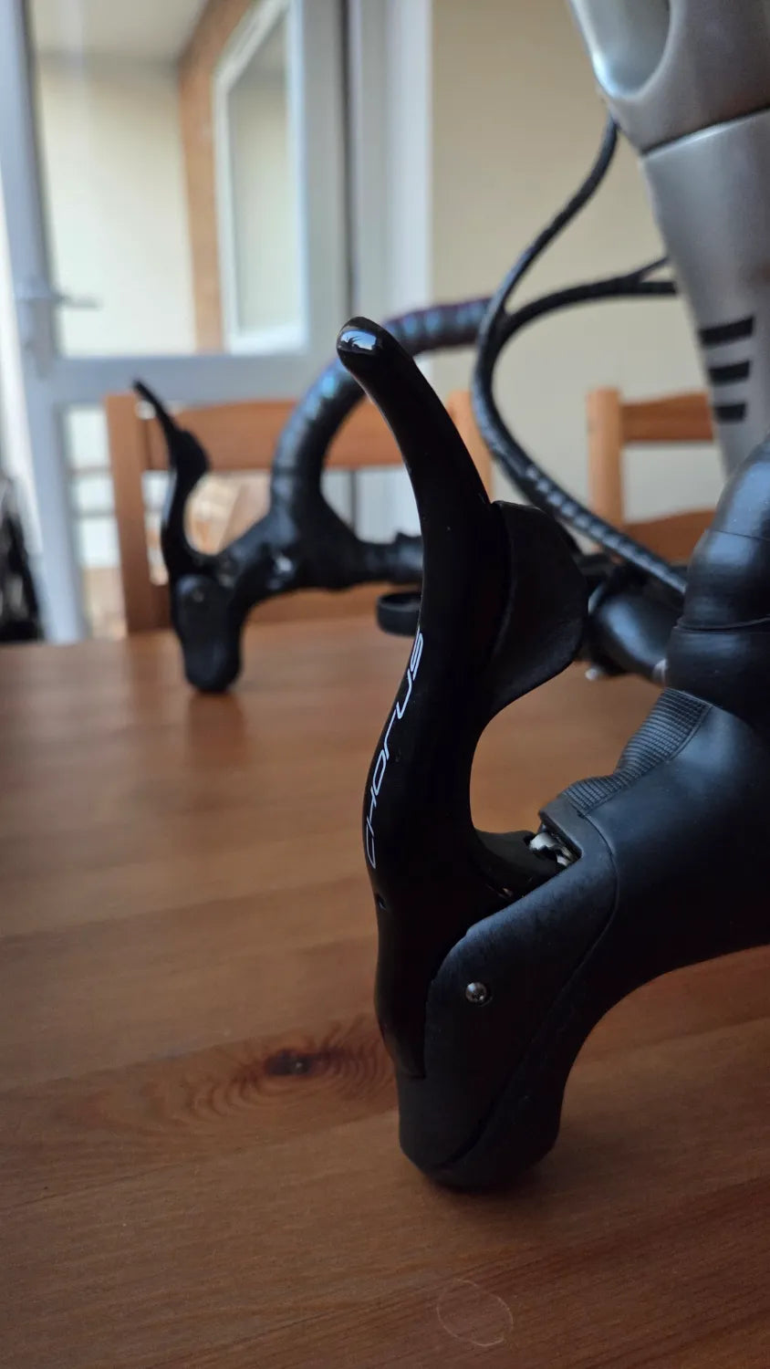 Basso Astra Campagnolo Chorus 12s Disc 2022