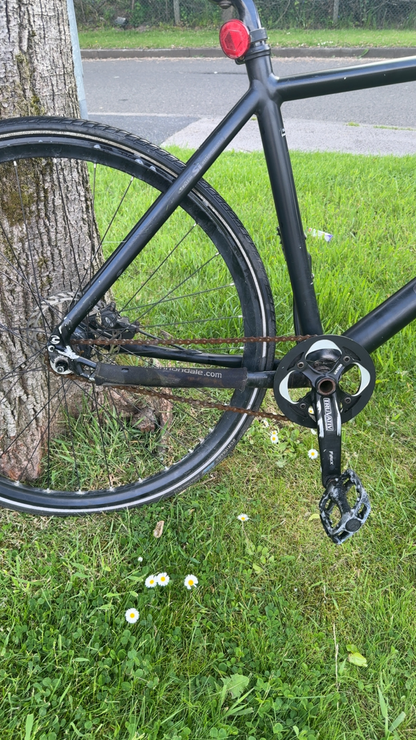 Cannondale Bad boy lefty 2018