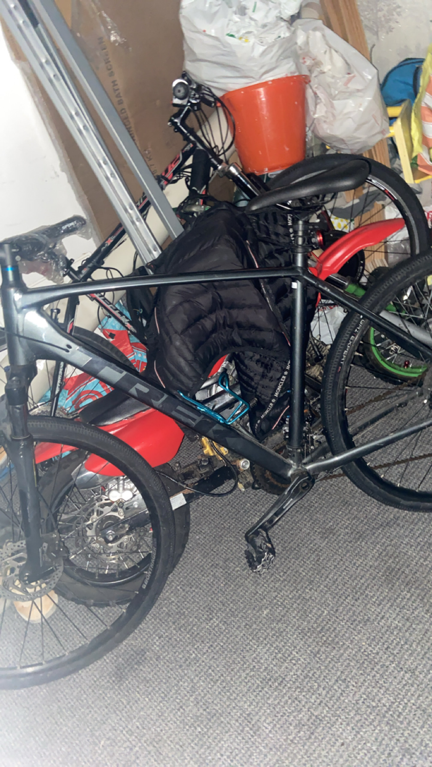 Trek Dual Sport 3 2022