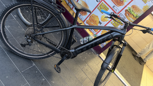 Trek Powerfly 4 2022