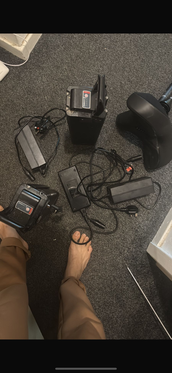 Schindelhauer Antonia 2023