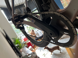Giant Revolt Advanced 1 2024