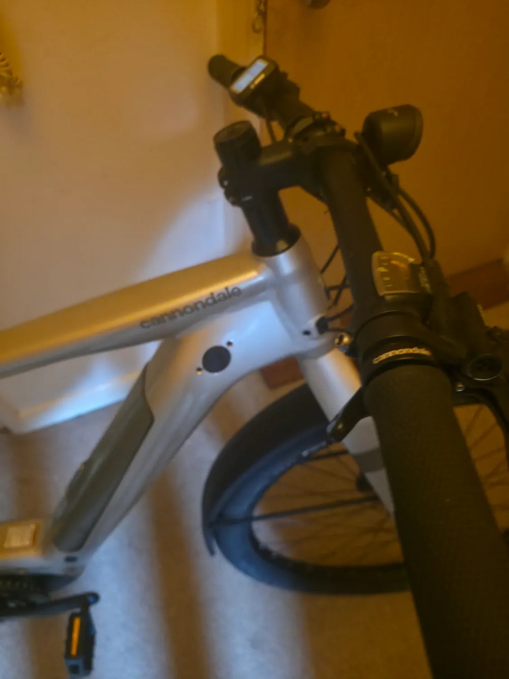 Cannondale Canvas Neo 2 2022
