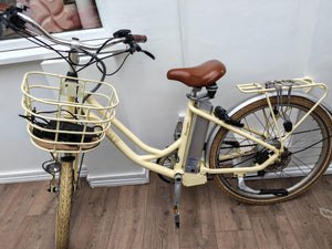 Volt Kensington 2021