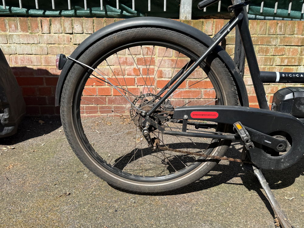 Bicicapace Pelican 2024