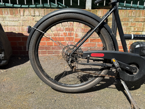 Bicicapace Pelican 2024