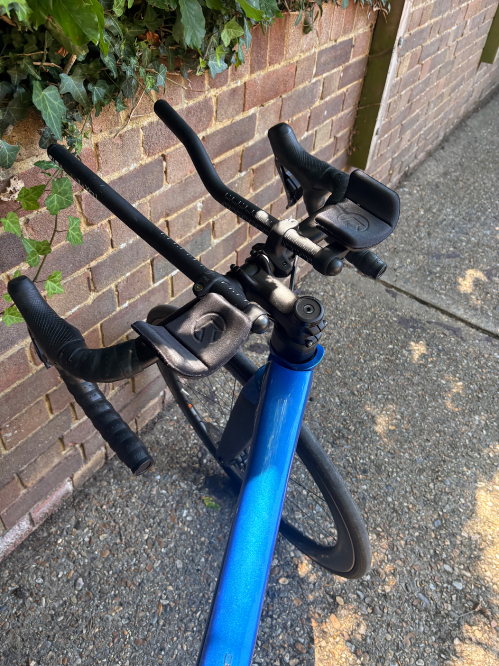 Trek Madone 6 Series 2010