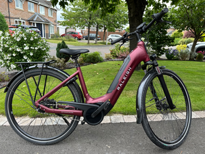 Raleigh Motus Tour LSHub 2022