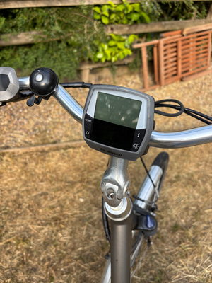 Raleigh Captus Mid-Step 2025