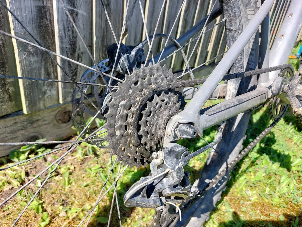 BMC Twostroke AL24 2022