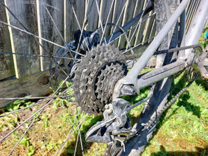 BMC Twostroke AL24 2022