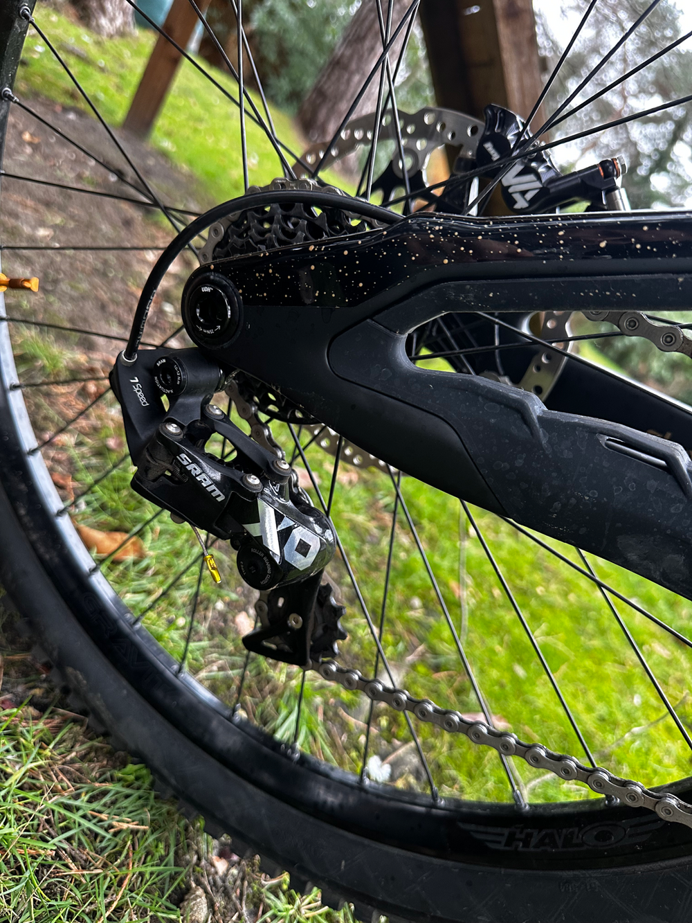 Pivot Phoenix 2025 DH carbon