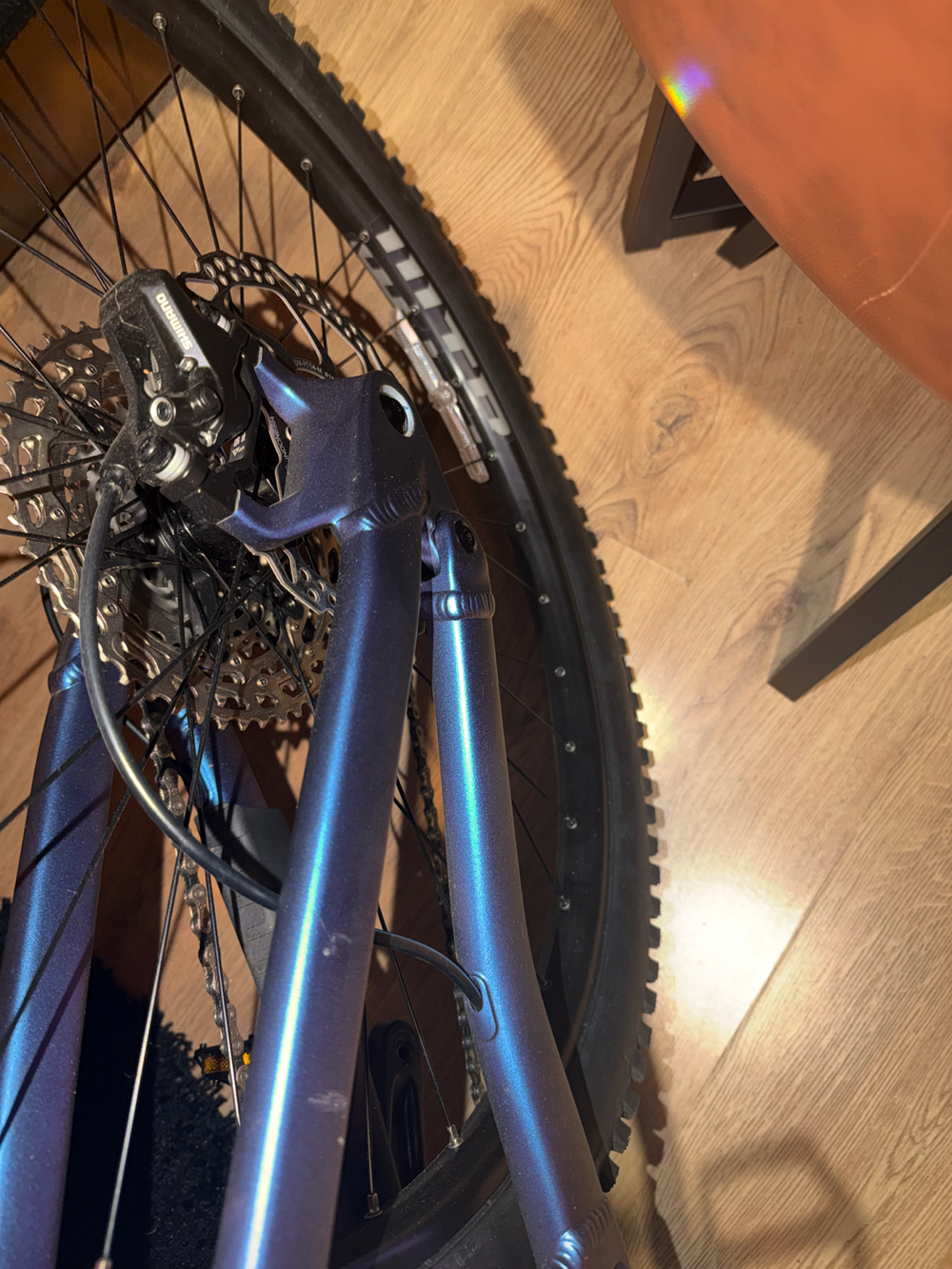 Voodoo Canzo Pro 2025