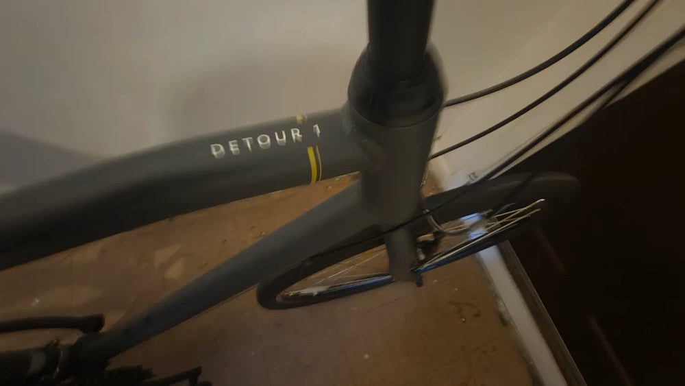 Raleigh Detour 1 2021