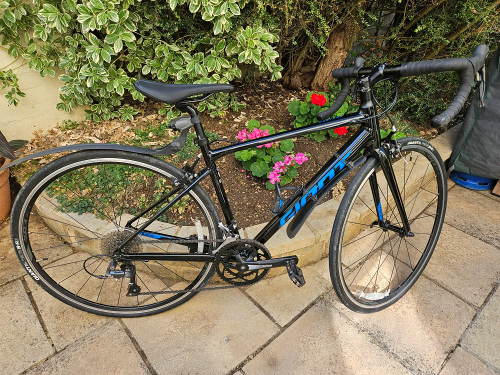 Giant Contend 2 2020