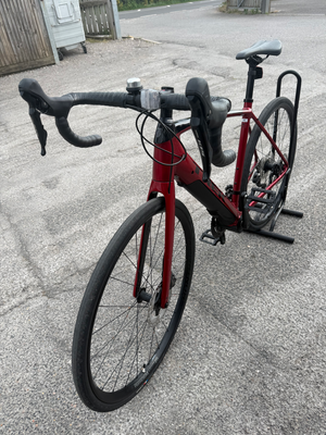 Trek Domane+ 2019
