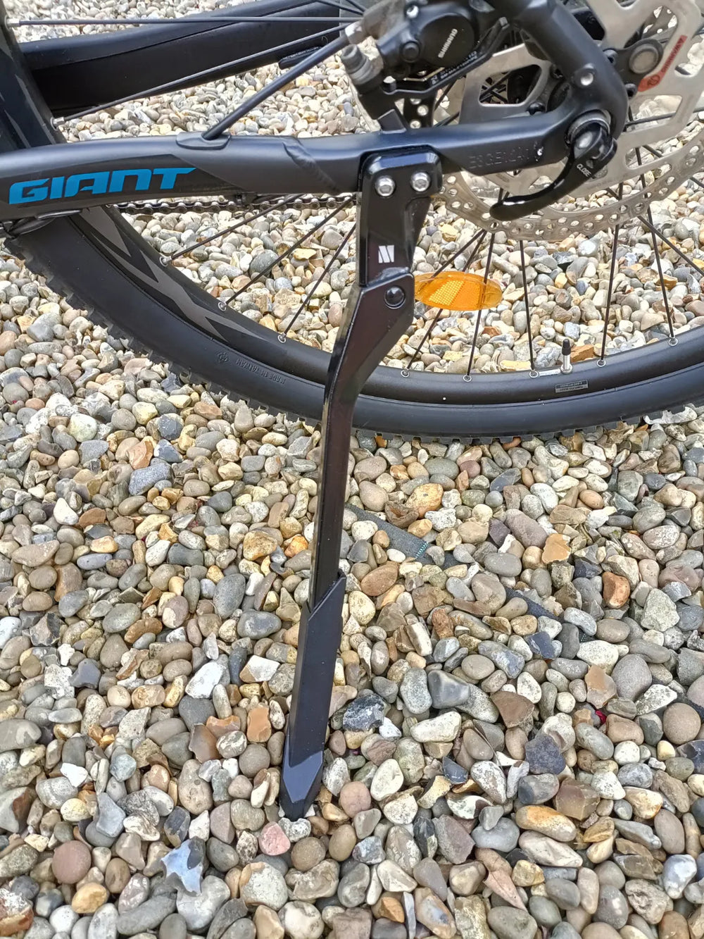 Giant Fathom 29 2 2022