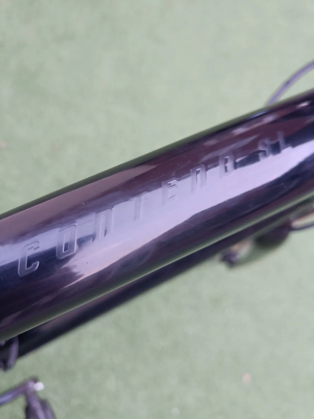 Giant Contend 1 2020 2021