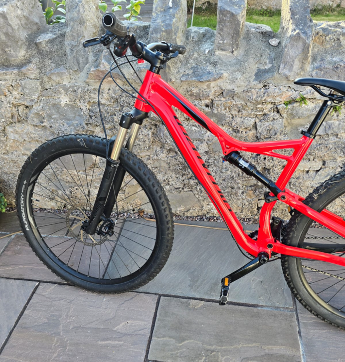Specialized Men's Camber 29 2018